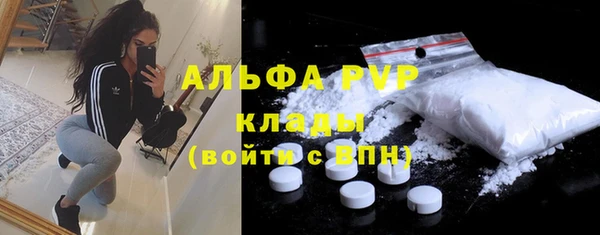шишки Алзамай