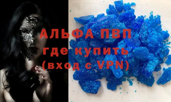 стаф Корсаков