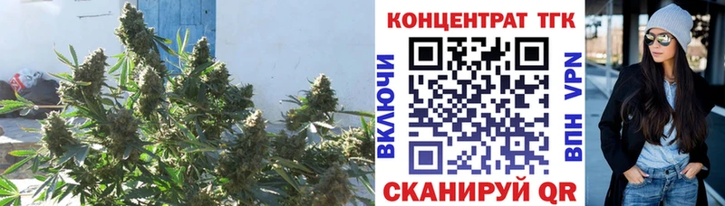 omg онион закладки Верхнеуральск ТГК концентрат